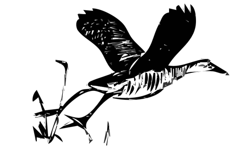 Král železniční ptáka v letu osnovy vektorové ilustrace